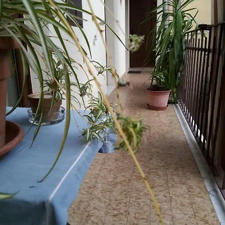 Viktoria B&B-3